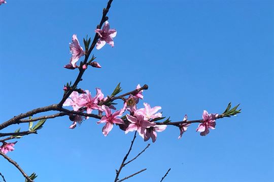 2025年度我国合成橡胶行业重大新闻