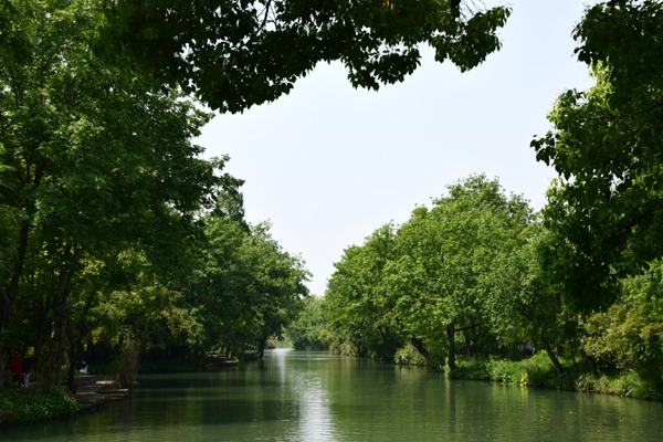 科林电气股东张成锁减持274.65万股，持股降至10.94%